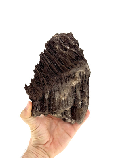 Large Permineralized Wood Covered In Druzy Quartz from Germany (919 Grams)