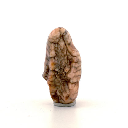 Cave Bear (Ursus spelaeus) molar from pleistocene, Rumania | 1.68"