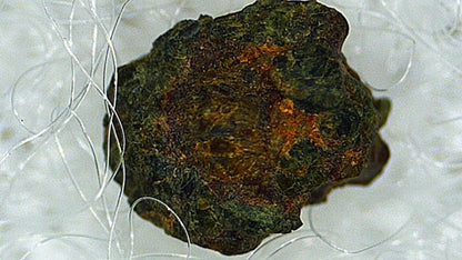 Martian Meteorite Nakhlite | Hassi Messaoud 001