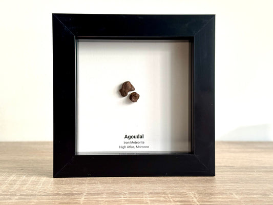 Agoudal Meteorite Fragments (2 pieces) in Deep Box Frame