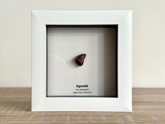 Agoudal Meteorite Fragment in Deep Box Frame