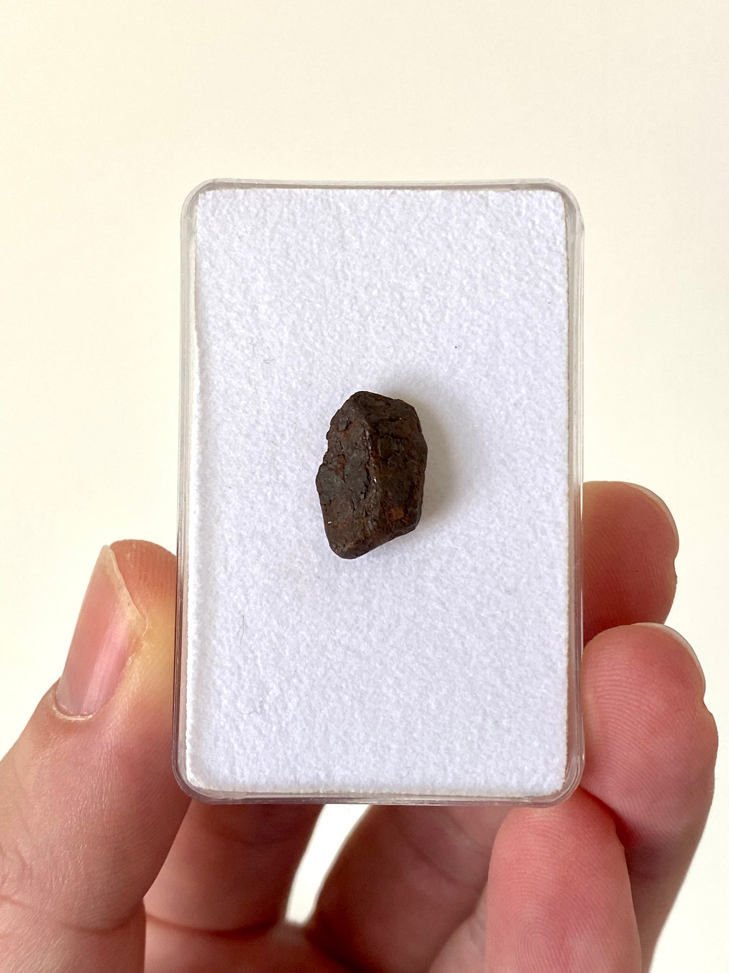 Agoudal Meteorite fragment