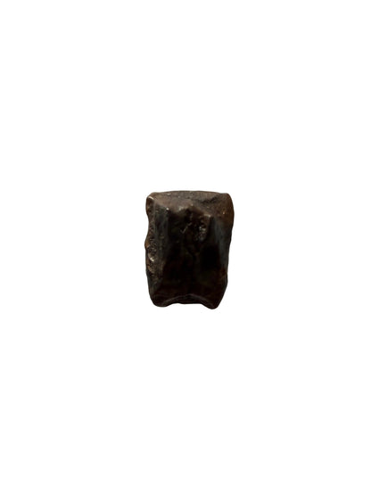 Edmontosaurus Tooth Fragment from Hell Creek Formation | 0.33"