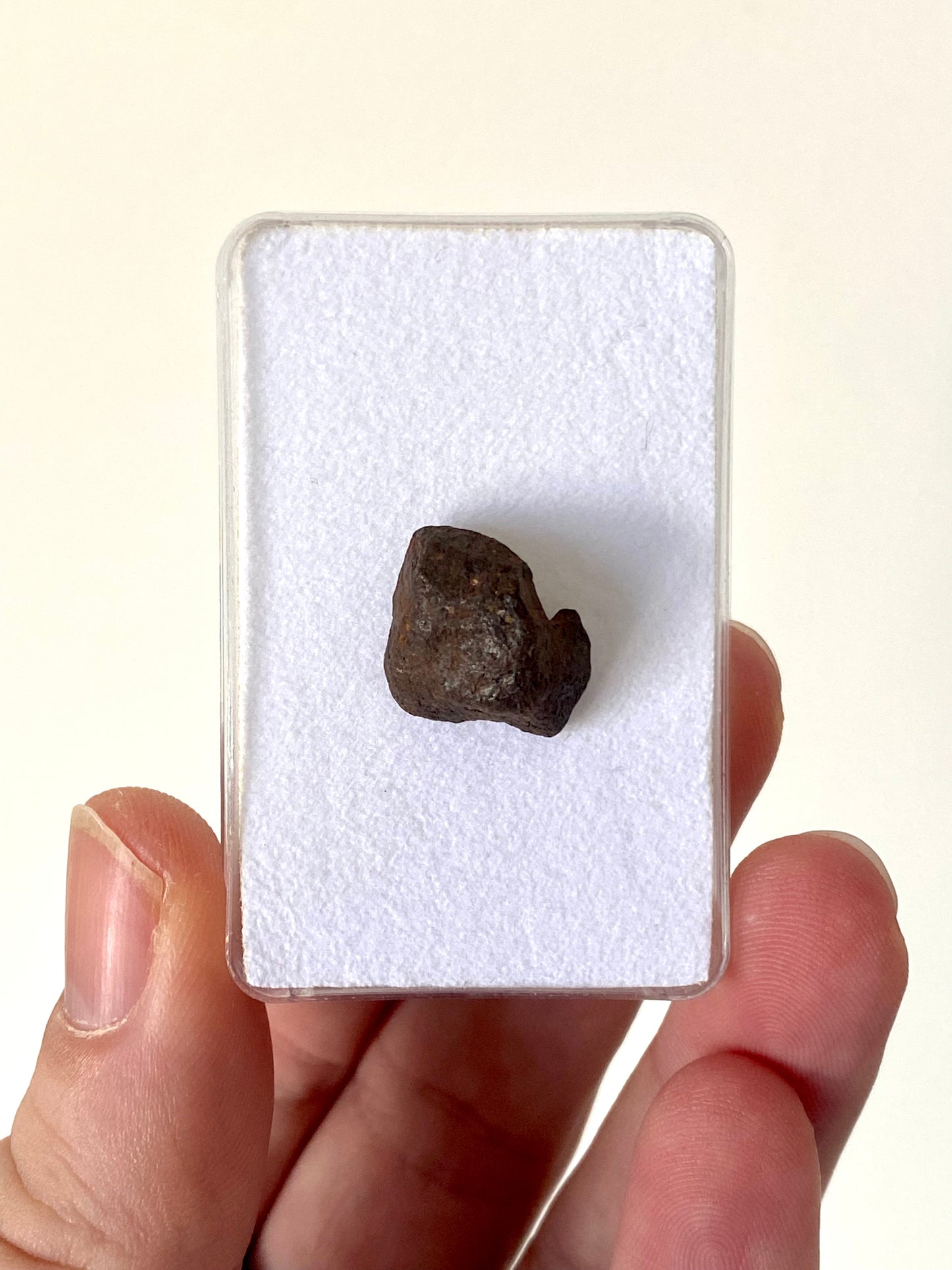 Agoudal Meteorite fragment