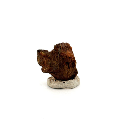 Authentic raw Sericho Pallasite Meteorite Fragment from Kenya (0.76")