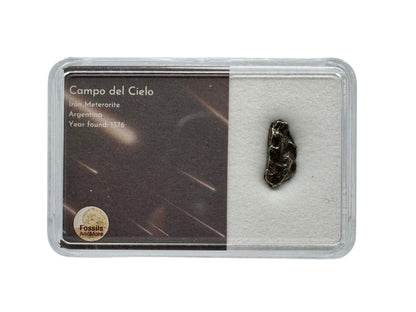 Klein Campo del Cielo meteorietfragment uit Argentinië in Gift Box