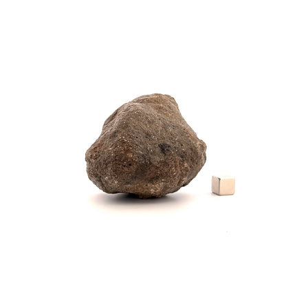 Asteroide Vesta Fragment (255 Gram) – Jikharra 001 (Eucrite Melt Breccia)
