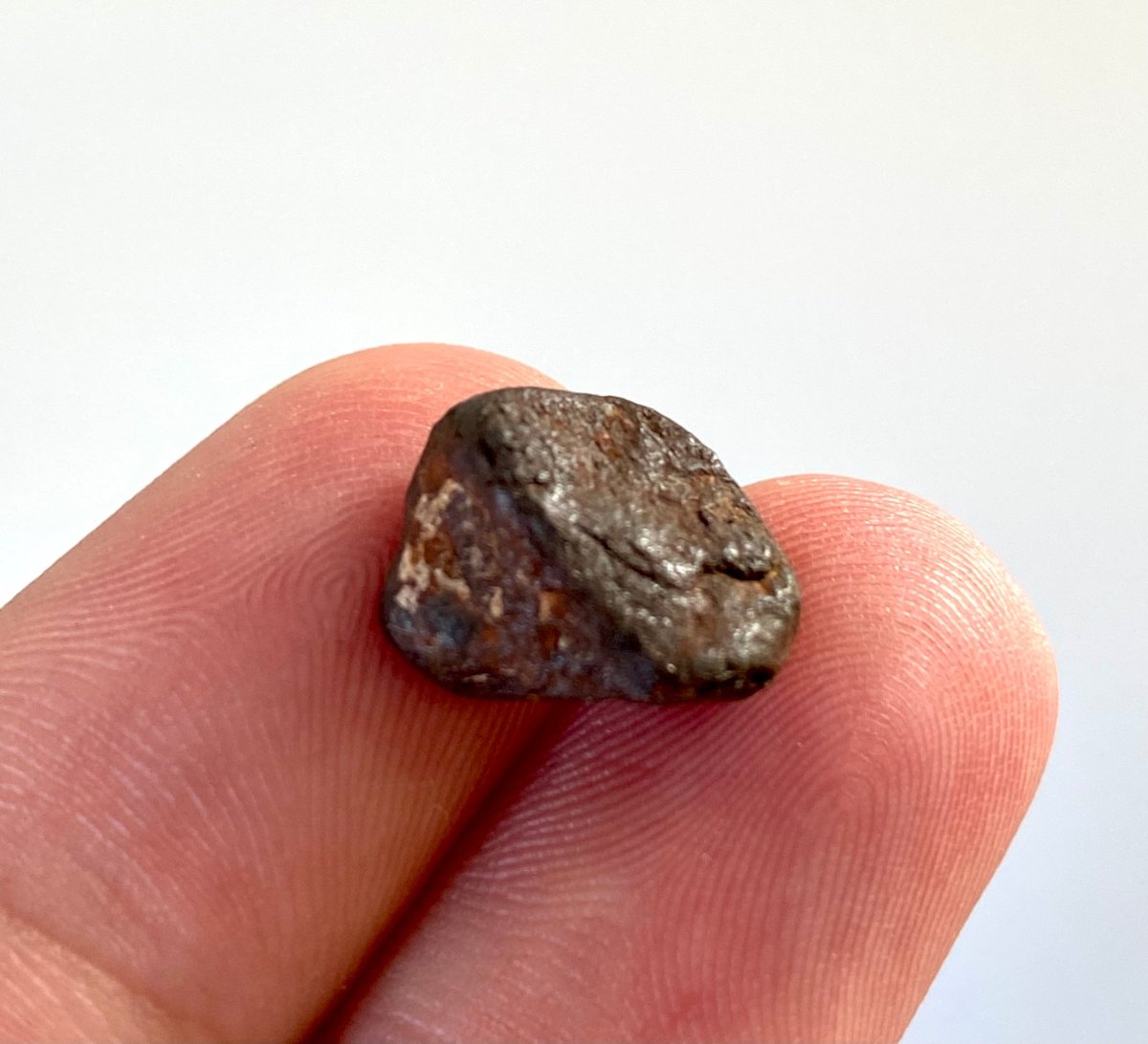 Agoudal Meteorite fragment - FossilsAndMore