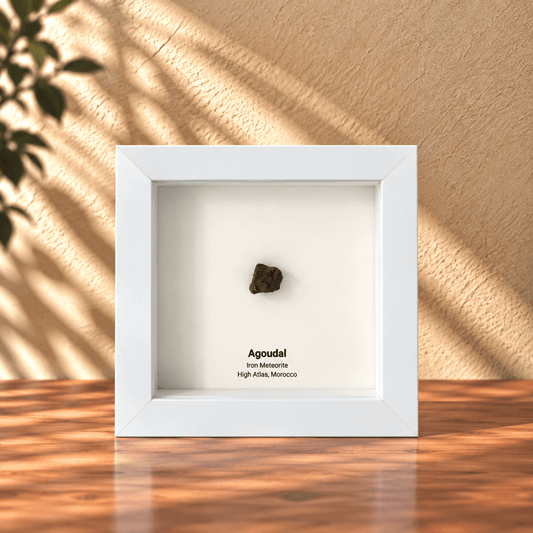 Agoudal Meteorite Fragment in Deep Box Frame - FossilsAndMore