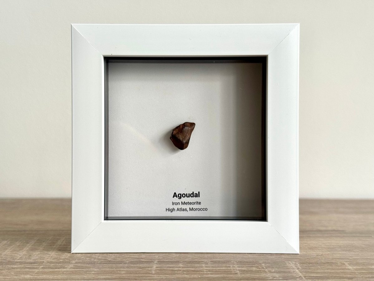 Agoudal Meteorite Fragment in Deep Box Frame - FossilsAndMore
