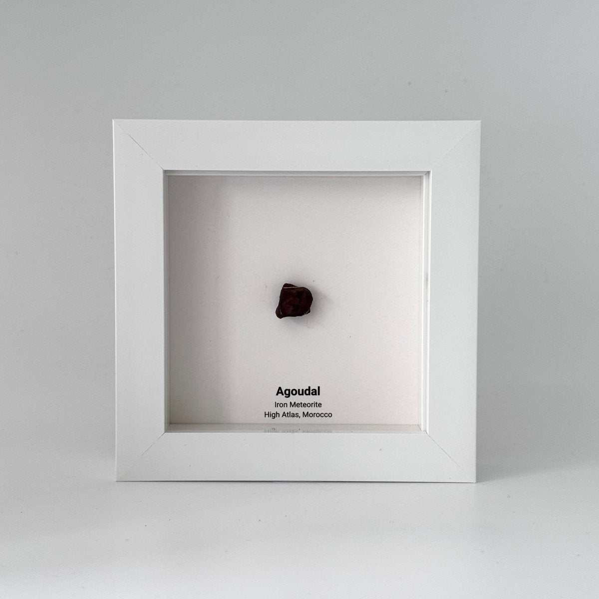Agoudal Meteorite Fragment in Deep Box Frame - FossilsAndMore
