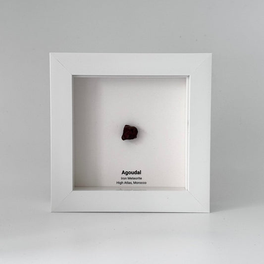 Agoudal Meteorite Fragment in Deep Box Frame - FossilsAndMore