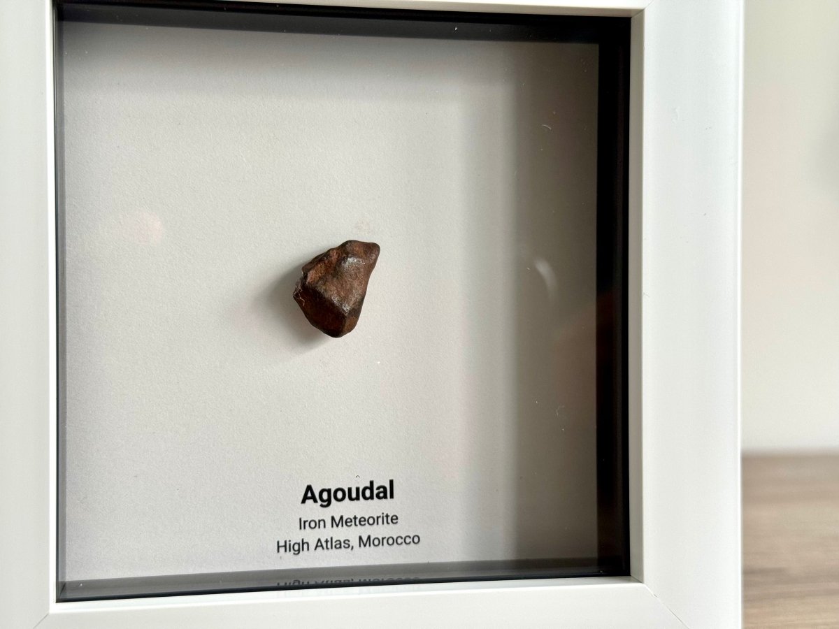 Agoudal Meteorite Fragment in Deep Box Frame - FossilsAndMore