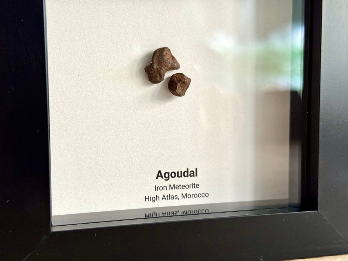 Agoudal Meteorite Fragments (2 pieces) in Deep Box Frame - FossilsAndMore