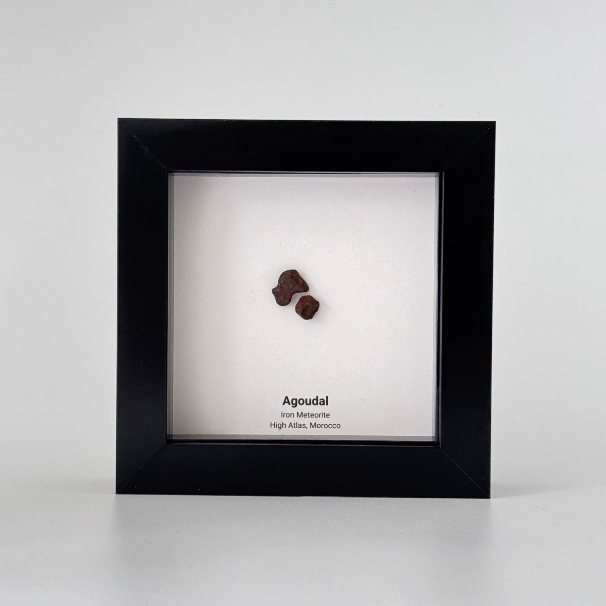 Agoudal Meteorite Fragments (2 pieces) in Deep Box Frame - FossilsAndMore