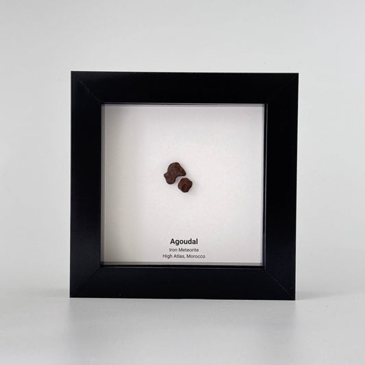 Agoudal Meteorite Fragments (2 pieces) in Deep Box Frame - FossilsAndMore