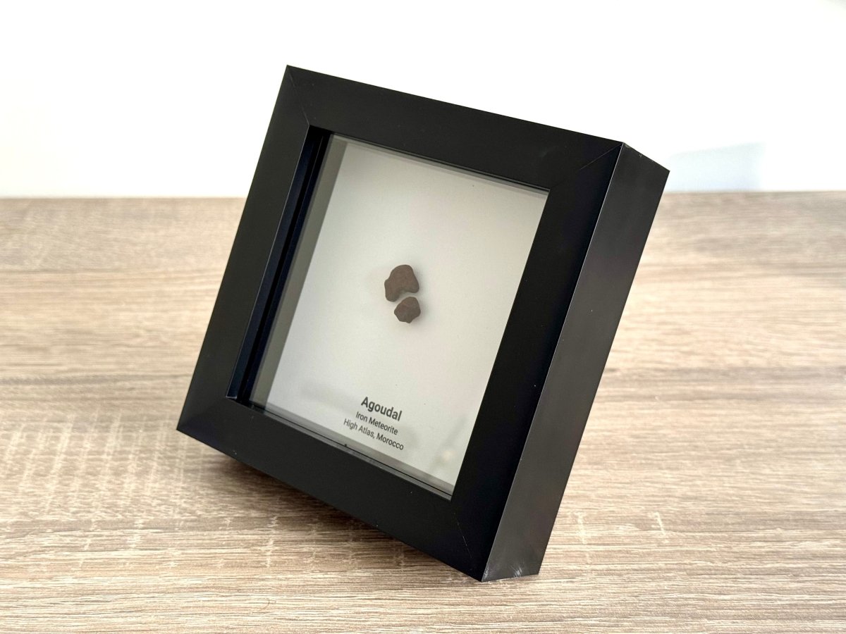 Agoudal Meteorite Fragments (2 pieces) in Deep Box Frame - FossilsAndMore