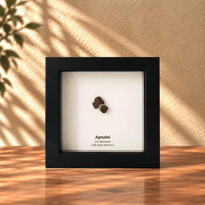 Agoudal Meteorite Fragments (2 pieces) in Deep Box Frame - FossilsAndMore