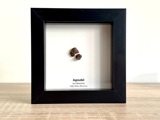 Agoudal Meteorite Fragments (2 pieces) in Deep Box Frame - FossilsAndMore