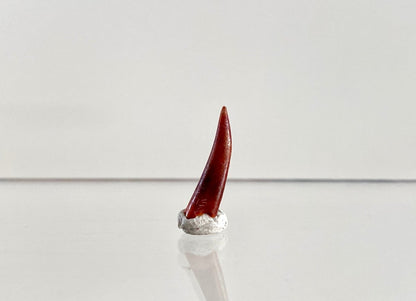 Aidachar pankowskii Fossil Fish Tooth (0.74") - Late Cretaceous, Morocco - FossilsAndMore