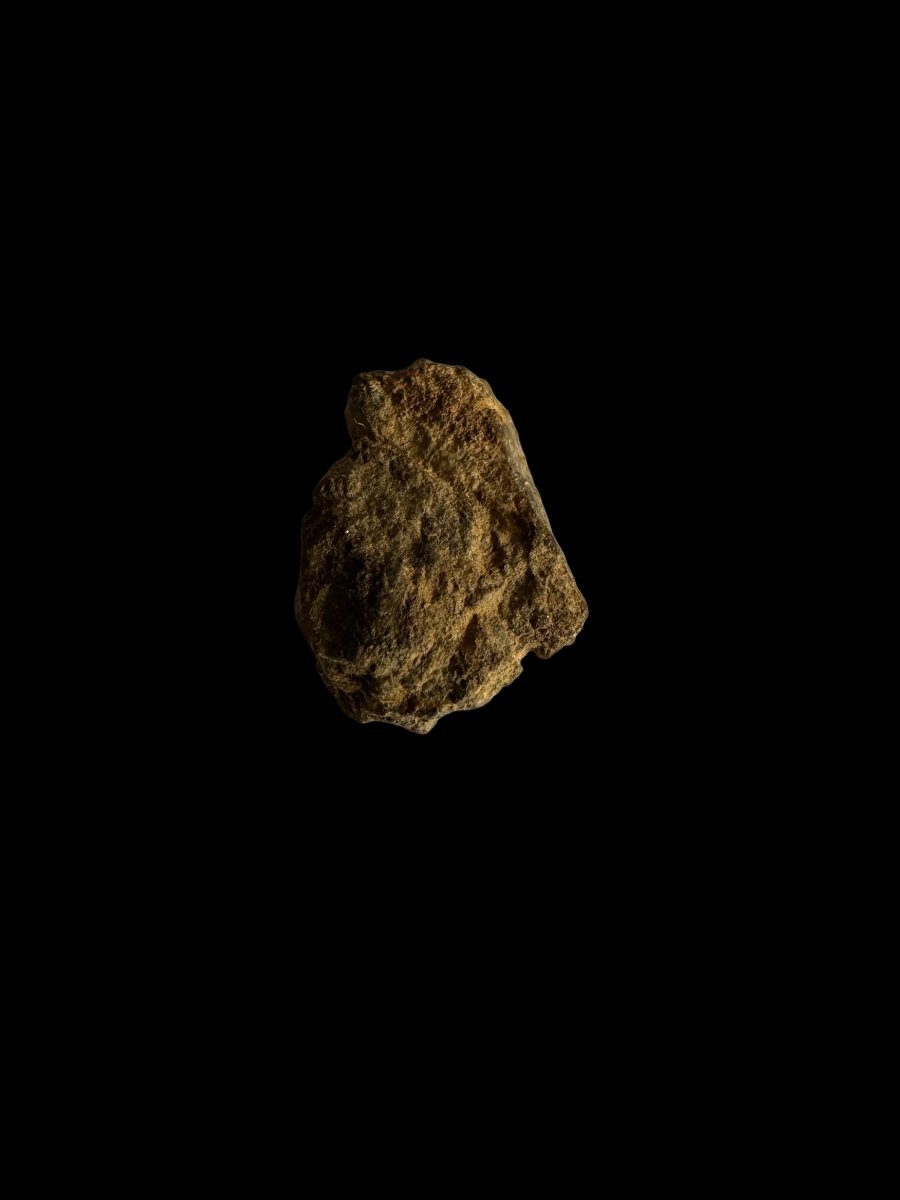 Al Haggouina Meteorite fragment (0.58") from Western Sahara - FossilsAndMore