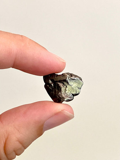 Aletai meteorite fragment (0.80") - China - FossilsAndMore