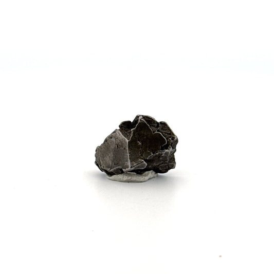 Aletai meteorite fragment from China (0.81") - FossilsAndMore
