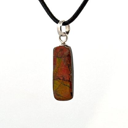 Ammolite Pendant Necklace – Iridescent Fossil Gem from Canada - FossilsAndMore