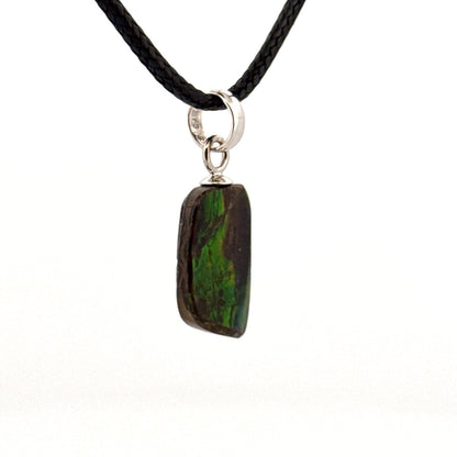 Ammolite Pendant Necklace – Iridescent Fossil Gem from Canada - FossilsAndMore