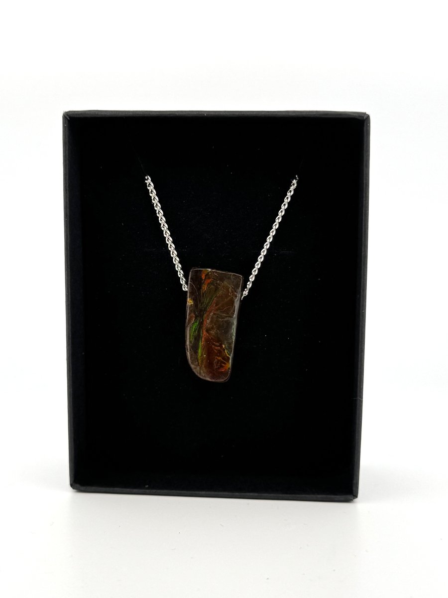 Ammolite Pendant Necklace – Iridescent Fossil Gem from Canada - FossilsAndMore