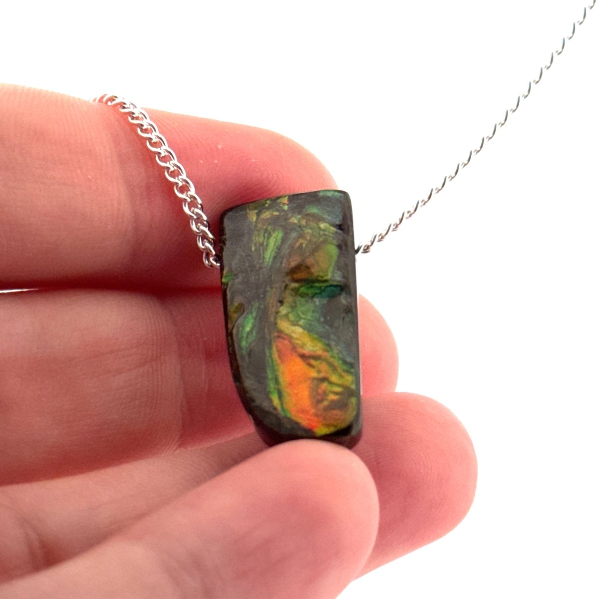 Ammolite Pendant Necklace – Iridescent Fossil Gem from Canada - FossilsAndMore