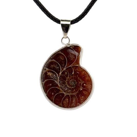 Ammonite Pendant on necklace – Fossil Jewelry from Madagascar - FossilsAndMore