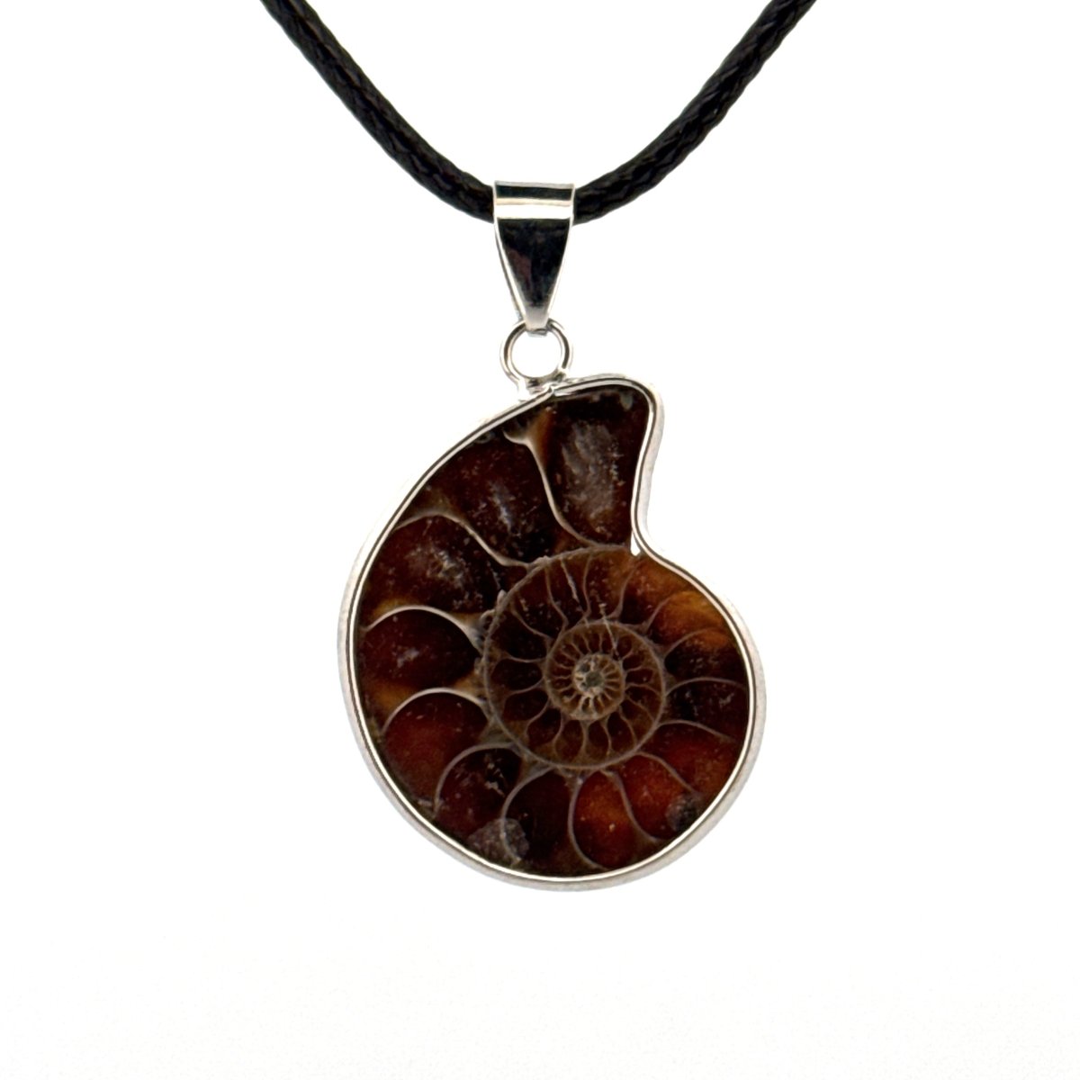 Ammonite Pendant on necklace – Fossil Jewelry from Madagascar - FossilsAndMore