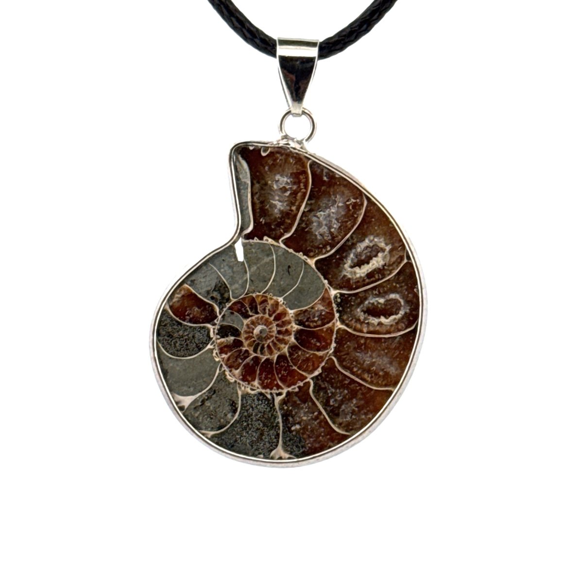 Ammonite Pendant on necklace – Fossil Jewelry from Madagascar - FossilsAndMore