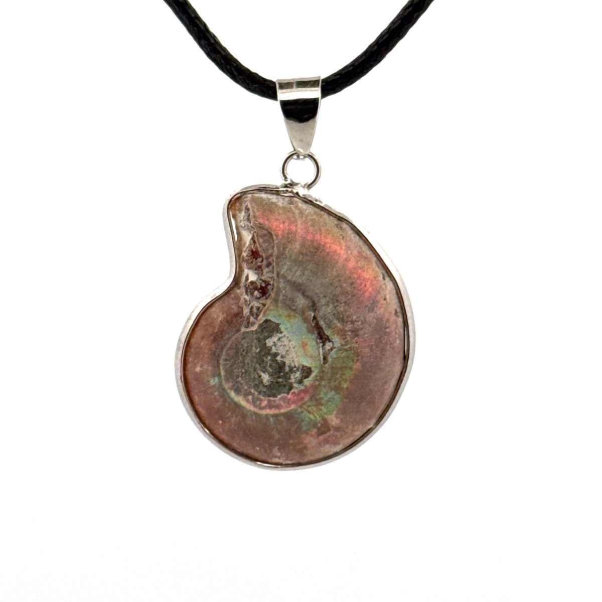 Ammonite Pendant on necklace – Fossil Jewelry from Madagascar - FossilsAndMore