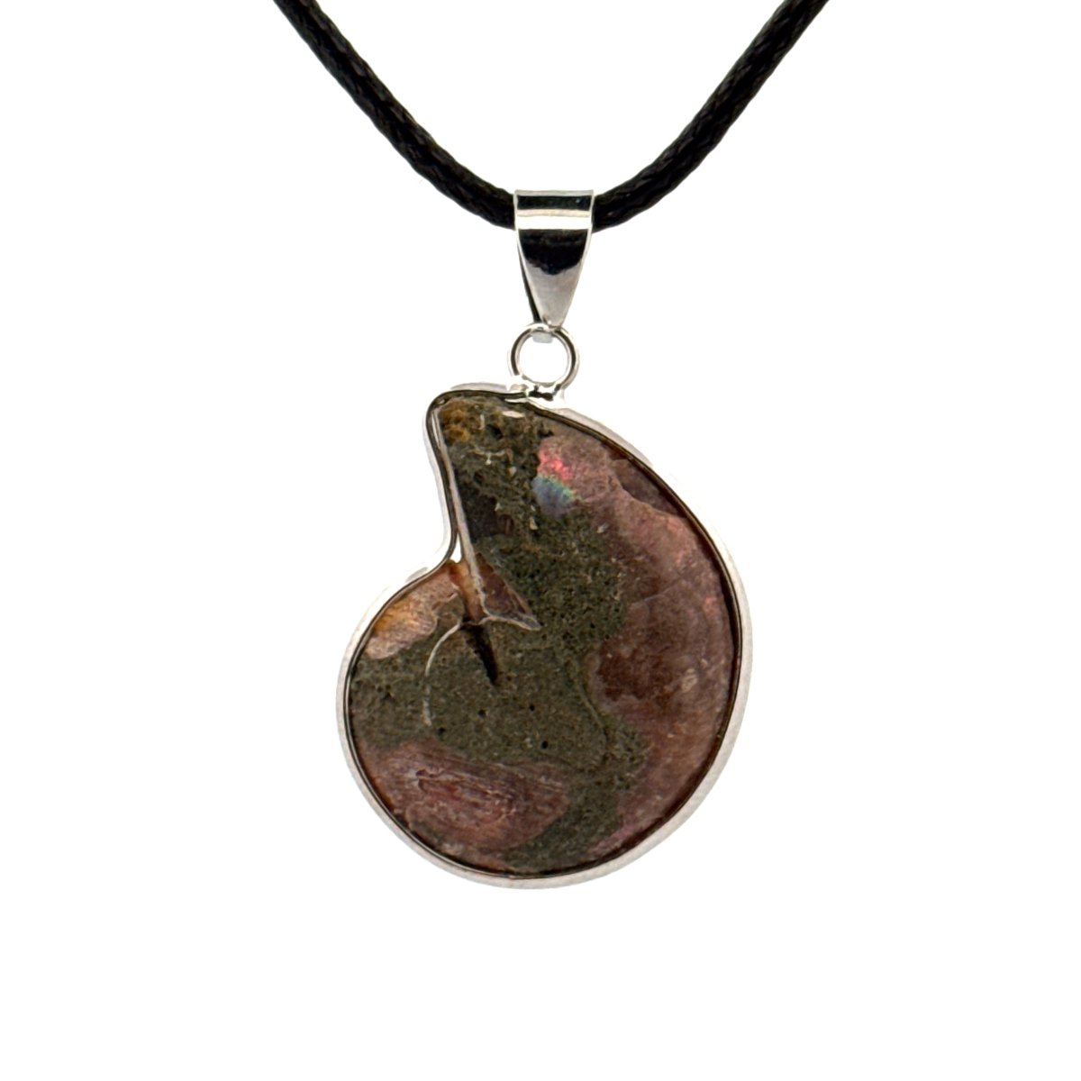 Ammonite Pendant on necklace – Fossil Jewelry from Madagascar - FossilsAndMore