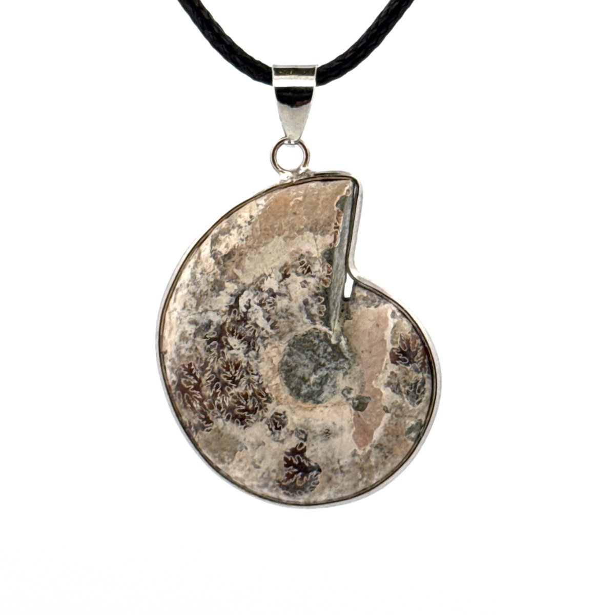 Ammonite Pendant on necklace – Fossil Jewelry from Madagascar - FossilsAndMore