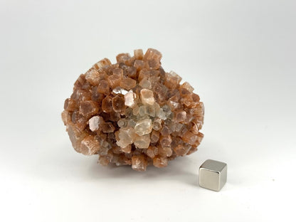 Aragonite mineral cluster (238 Grams) from Mibladen, Morocco - FossilsAndMore