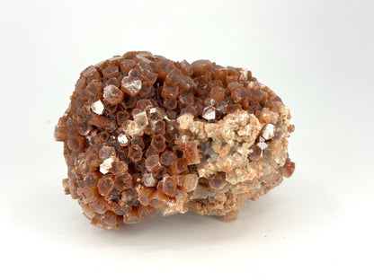 Aragonite mineral cluster (345 Grams) from Mibladen, Morocco - FossilsAndMore