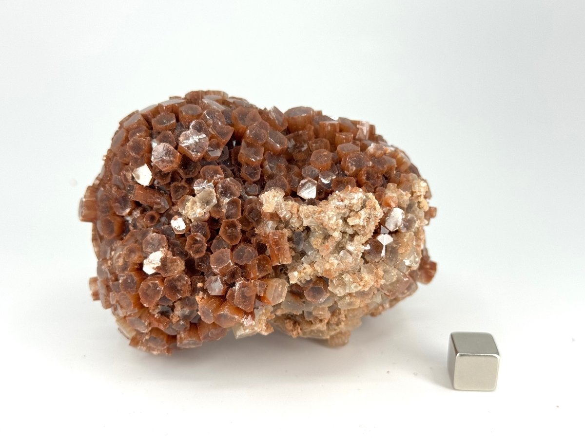 Aragonite mineral cluster (345 Grams) from Mibladen, Morocco - FossilsAndMore