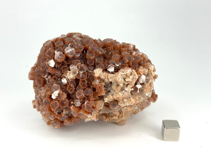 Aragonite mineral cluster (345 Grams) from Mibladen, Morocco - FossilsAndMore