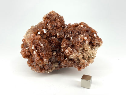 Aragonite mineral cluster (372 Grams) from Mibladen, Morocco - FossilsAndMore