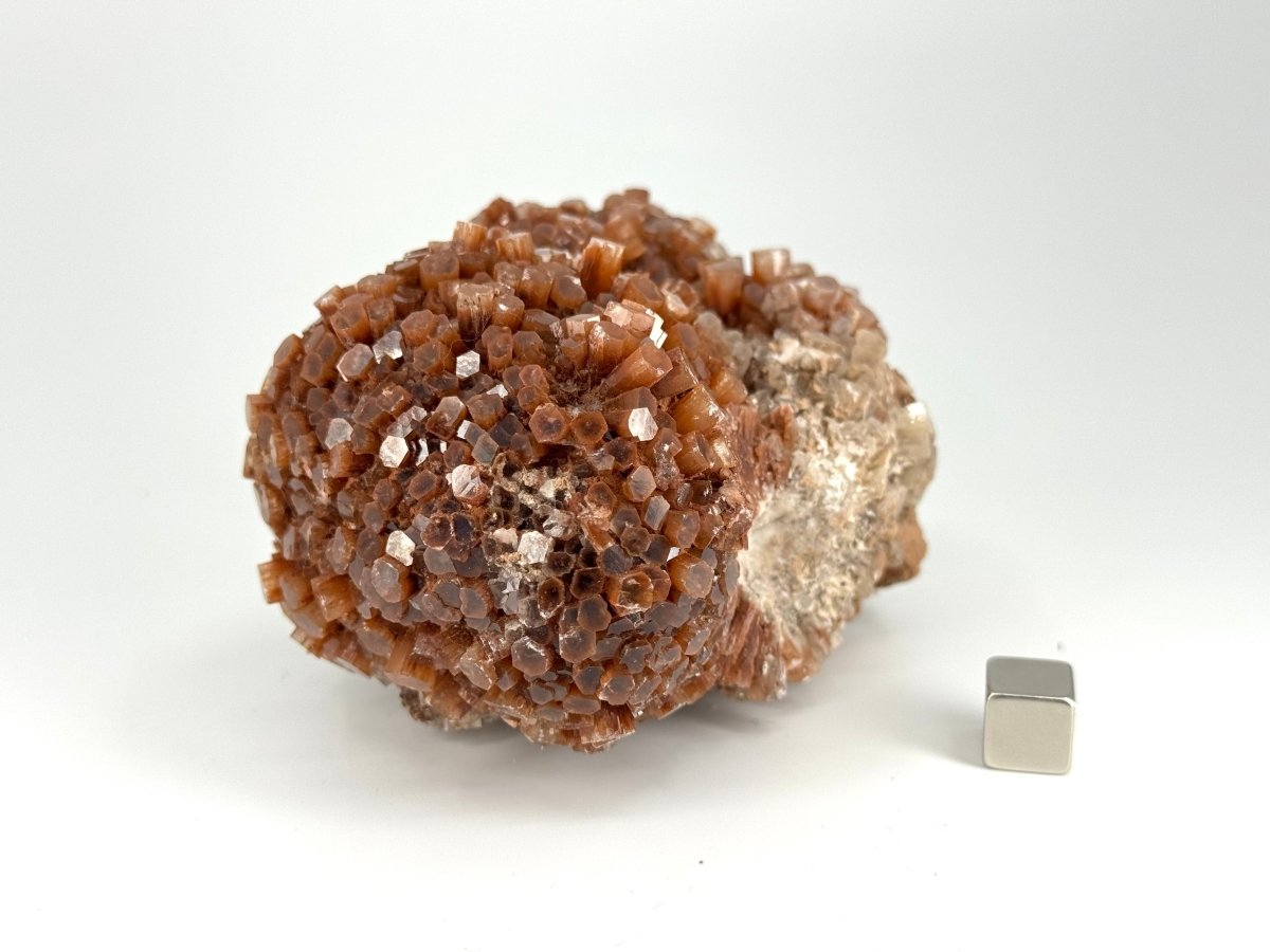 Aragonite mineral cluster (442 Grams) from Mibladen, Morocco - FossilsAndMore