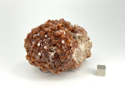 Aragonite mineral cluster (442 Grams) from Mibladen, Morocco - FossilsAndMore