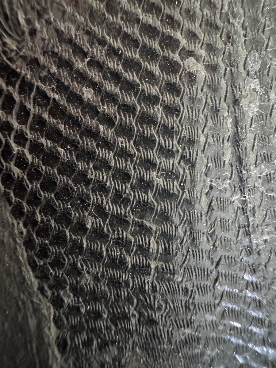 Asialepidotus shingyiensis Fossil Fish (7.48") – Triassic Period, China - FossilsAndMore