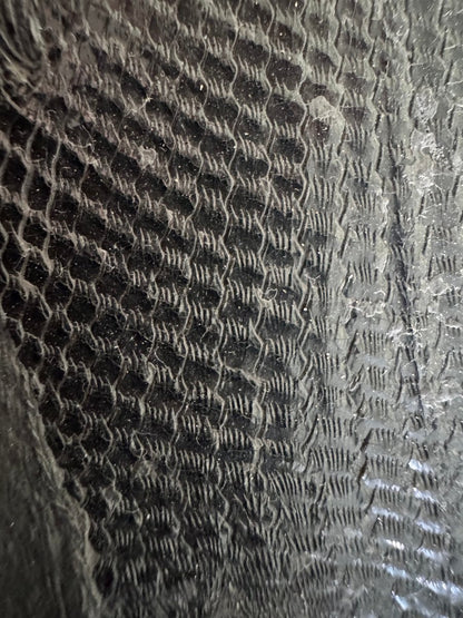 Asialepidotus shingyiensis Fossil Fish (7.48") – Triassic Period, China - FossilsAndMore