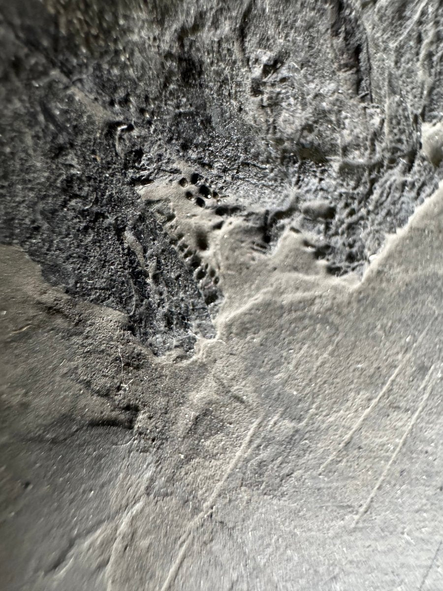 Asialepidotus shingyiensis Fossil Fish (7.48") – Triassic Period, China - FossilsAndMore