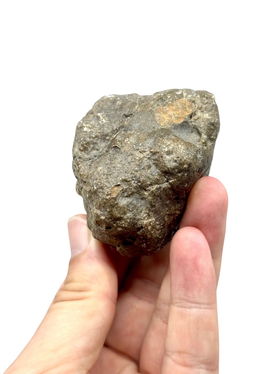 Asteroid Vesta Fragment (255 Grams) – Jikharra 001 (Eucrite Melt Breccia) - FossilsAndMore