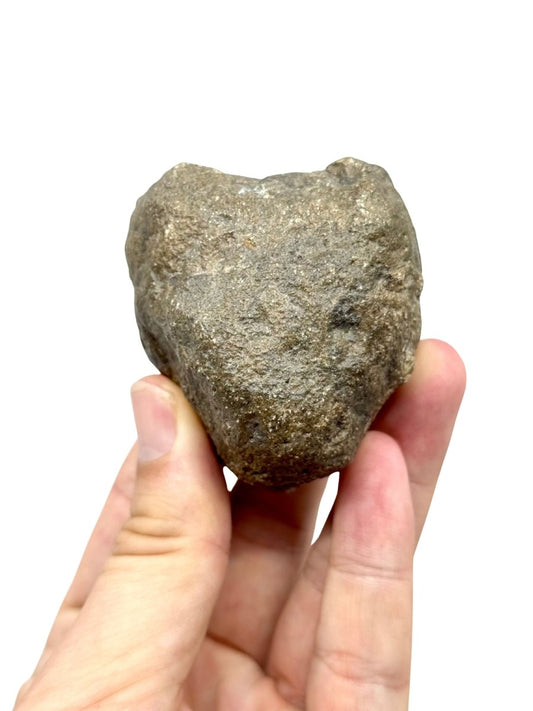 Asteroid Vesta Fragment (255 Grams) – Jikharra 001 (Eucrite Melt Breccia) - FossilsAndMore