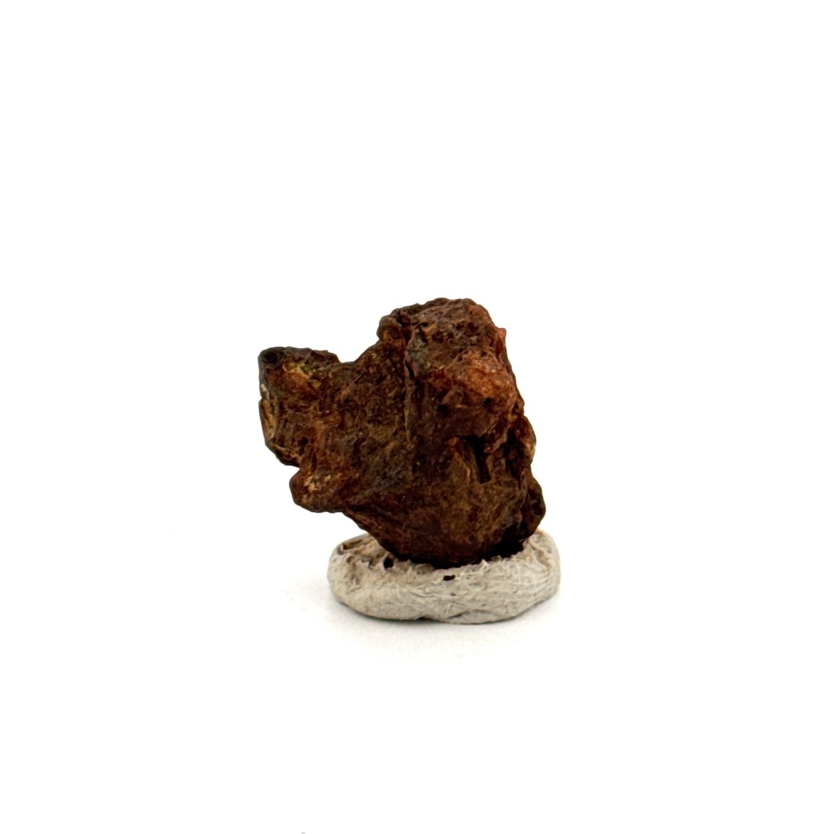 Authentic raw Sericho Pallasite Meteorite Fragment from Kenya (0.76") - FossilsAndMore